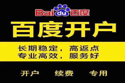 SEM竞价托管实战案例解析