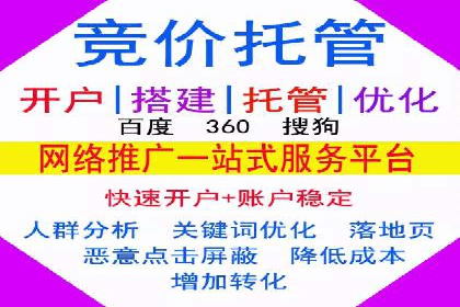 探索sem代运营公司成功案例的共同点